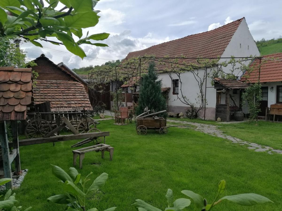 Casa Traditionala Transilvaneana Rucar  Luaran gambar