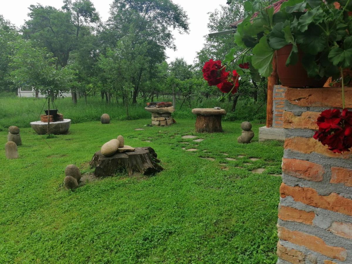 Casa Traditionala Transilvaneana Rucar  Luaran gambar
